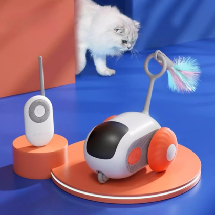 Chase-Me Cat Car