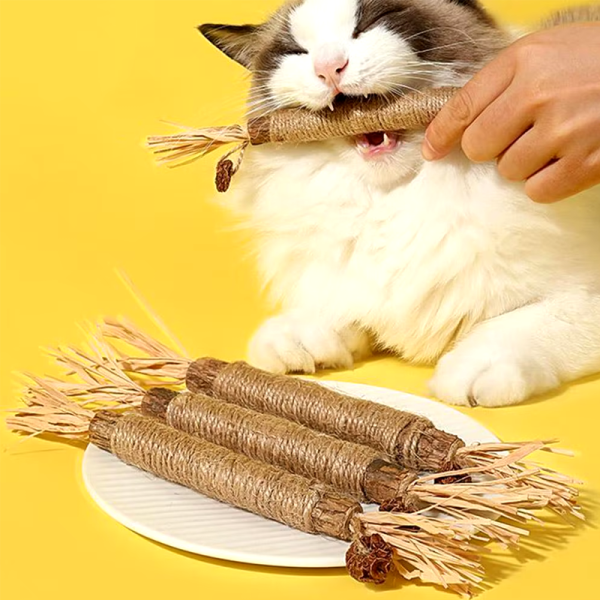 Natural matatabi silvervine chew sticks with cat