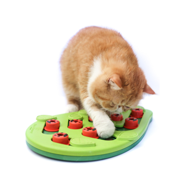 Buggin out interactive cat treat puzzle with cat