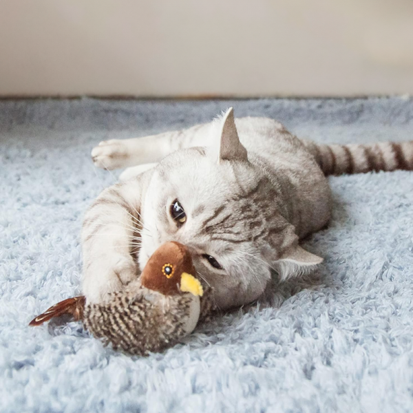 Flappy chirp interactive cat bird toy with cat