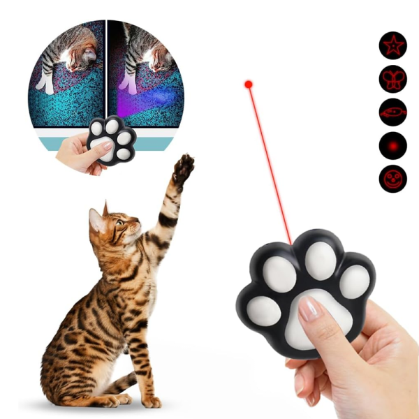 Play paws interactive laser pointer demo